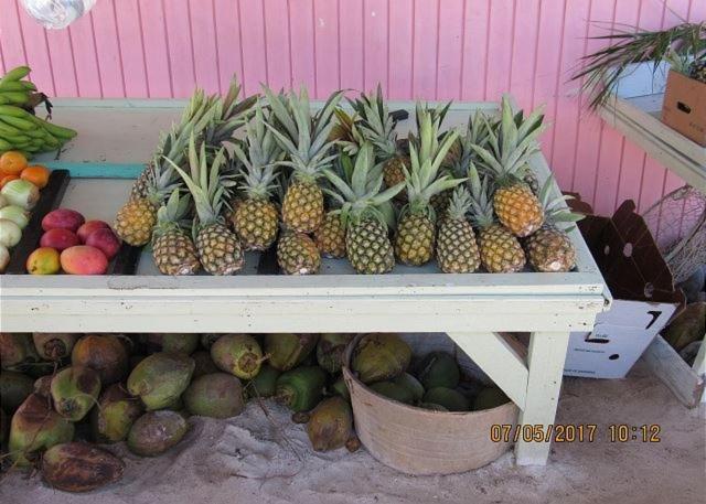 Pink Sand Cottage Cottage North Palmetto Point Exterior foto